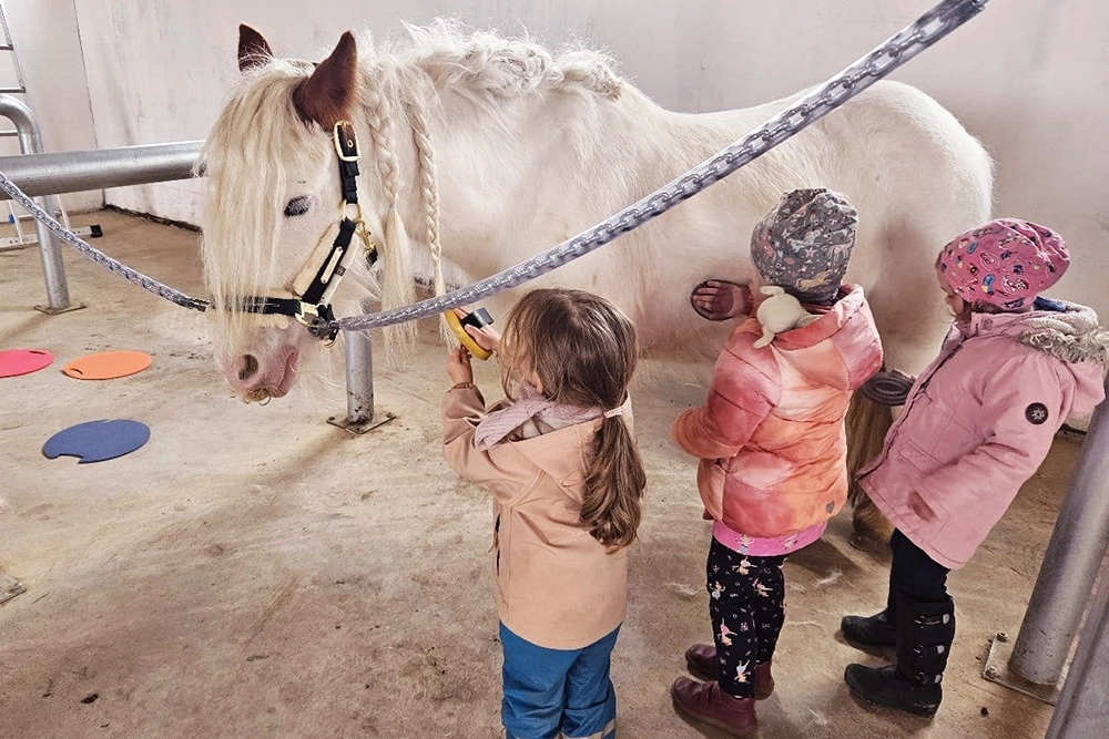 Drei Kinder striegeln ein weißes Ponny